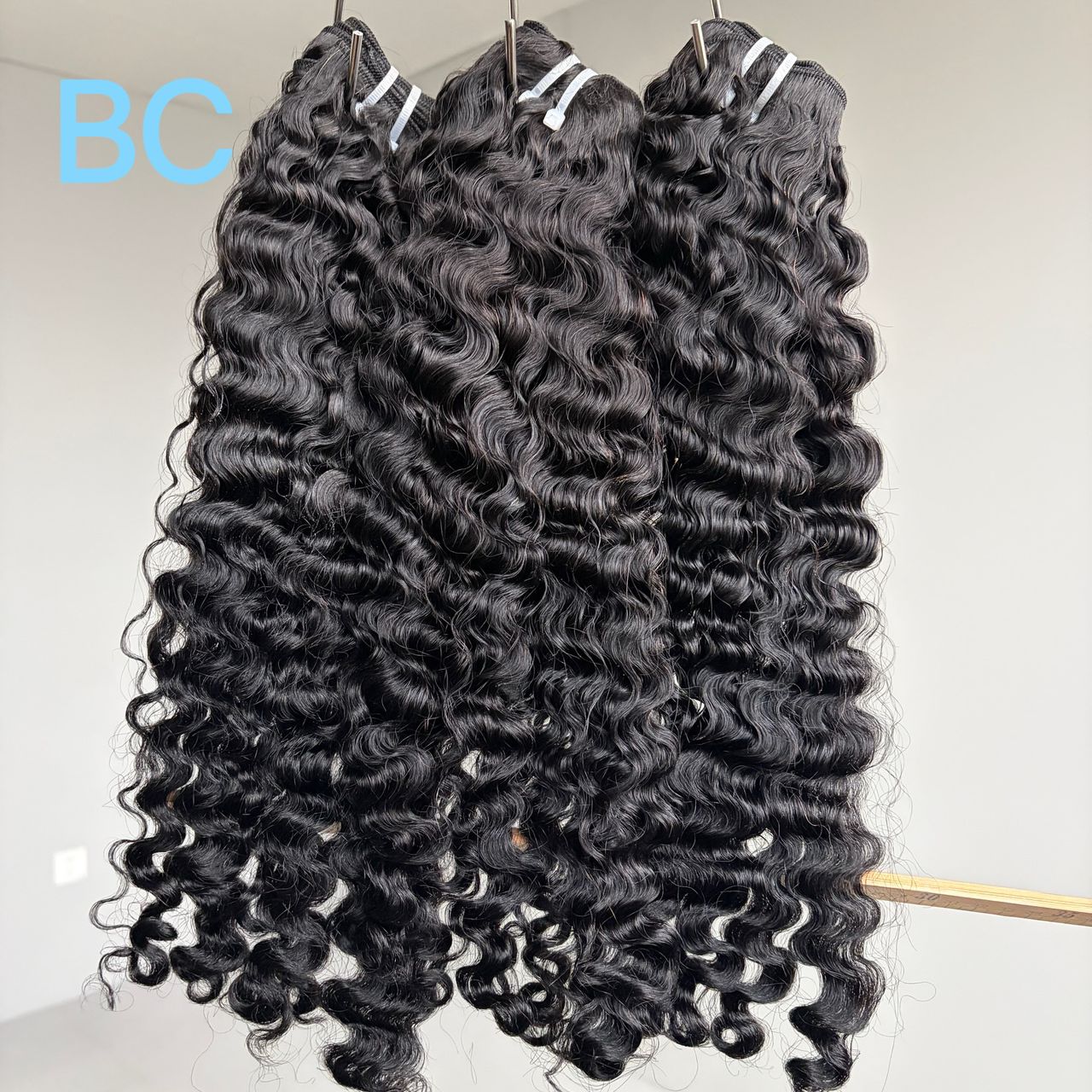 Burmese curly
