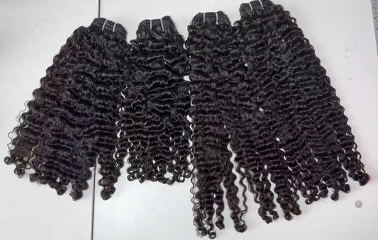 Burmese curly