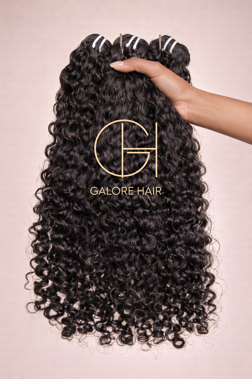 Burmese curly